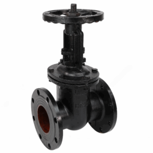 Задвижка чугун 30ч6бр 300