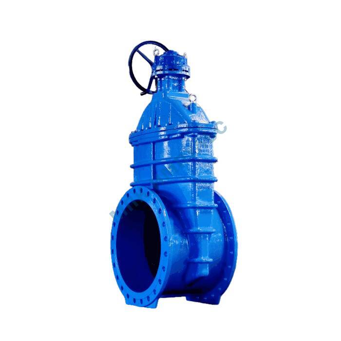 Задвижка чугун 30ч539р 1020RA аналог МЗВ обрезиненный клин EPDM c гайкой Ду 700 Ру10/16 фл с редуктором Benarmo — изображение 2