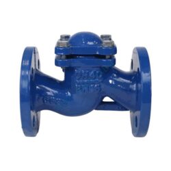 Клапаны и затворы обратные Benarmo купить недорого