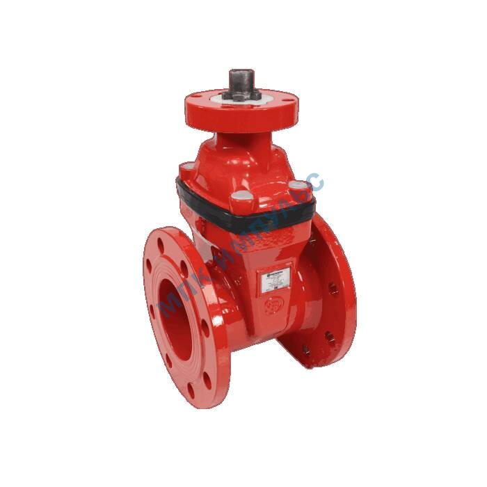 Задвижка аналог МЗВ чугун 30ч939р 23FGA обрезиненный клин Ду 50 Ру10/16 фл под электропривод присоединение «А» для систем пожаротушения Benarmo — изображение 3