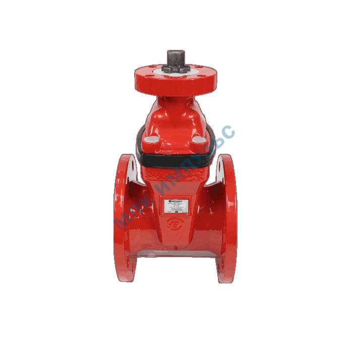 Задвижка аналог МЗВ чугун 30ч939р 23FGA обрезиненный клин Ду 50 Ру10/16 фл под электропривод присоединение «А» для систем пожаротушения Benarmo — изображение 4