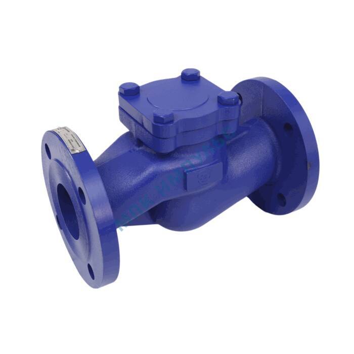 Клапаны и затворы обратные Benarmo купить недорого