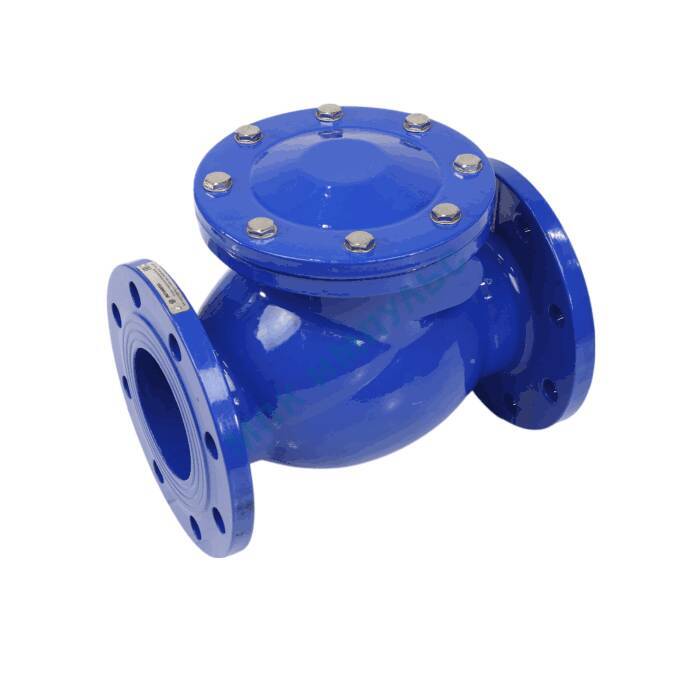 Клапан обратный чугун поворотный 3041 Ду 300 Ру10/16 Тмакс=150 оС фл диск чугун Benarmo — изображение 2