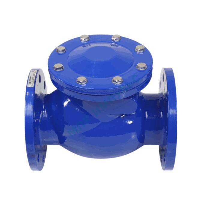 Клапан обратный чугун поворотный 3041 Ду 300 Ру10/16 Тмакс=150 оС фл диск чугун Benarmo — изображение 3