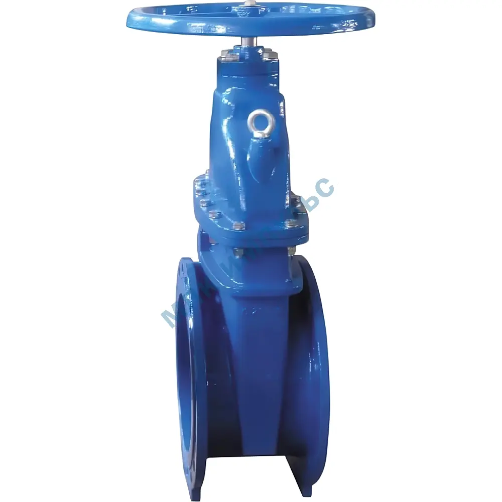 Задвижка чугун R55FLY аналог МЗВГ обрезиненный клин EPDM Ду 200 Ру16 Тмакс=120C фл Giacomini R55FLY020