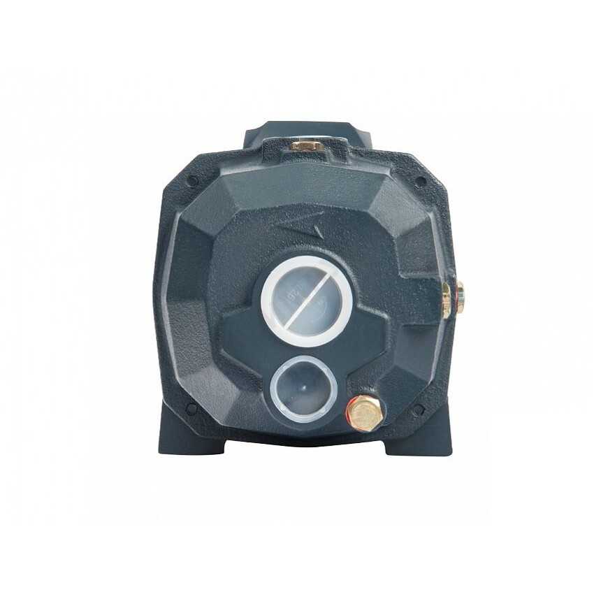 Насос поверхностный DP-750 Unipump 13056 — изображение 3