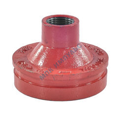 Переход резьбовой под муфту грувлок XGQT07S Ду100х25 (Дн114х1") Ру16 LEDE