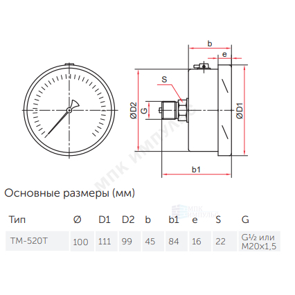 Манометр ТМ-520Т.00 осевой Дк100мм 0-0,6 МПа кл.1,0 G1/2" Росма 00000000981 — изображение 2