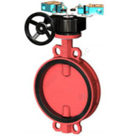 Затвор дисковый поворотный чугун VPI4448R2C-08EP Ду 65 Ру16 межфл с редуктором диск чугун манжета EPDM с концевыми выключателями для систем пожаротушения Tecofi VPI4448R2C-08EP0065