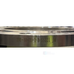 Фланец плоский нерж 200-10 AISI 321 (аналог 12X18H10T) 8х22мм 01-1-B HXCX