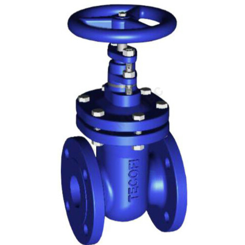 Задвижка чугун V4246 Ду 80 Ру16 Тмакс=120C фл Tecofi V4246-0080 — изображение 5