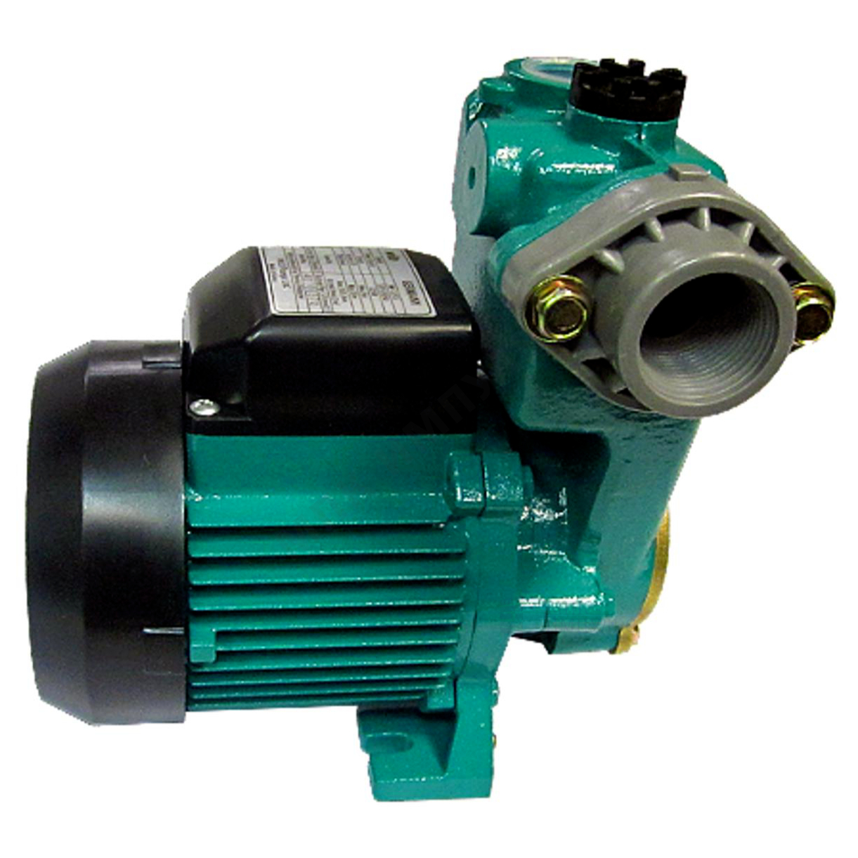 Насос самовсасывающий PW 252EA Wilo 3059267 — изображение 2